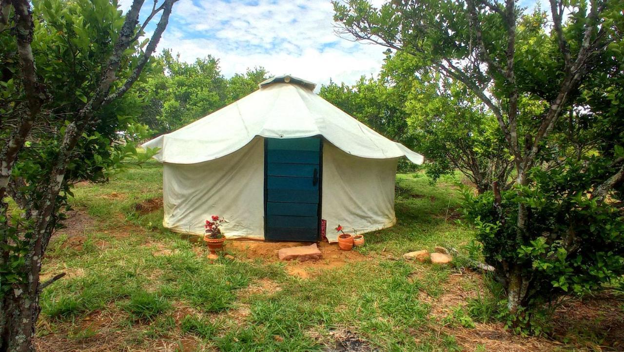 La Pacha Hostel Barichara Exteriér fotografie